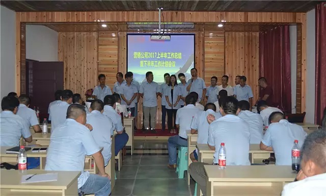 重慶智邦工程機械(集團)營銷公司2017上半年度工作會議